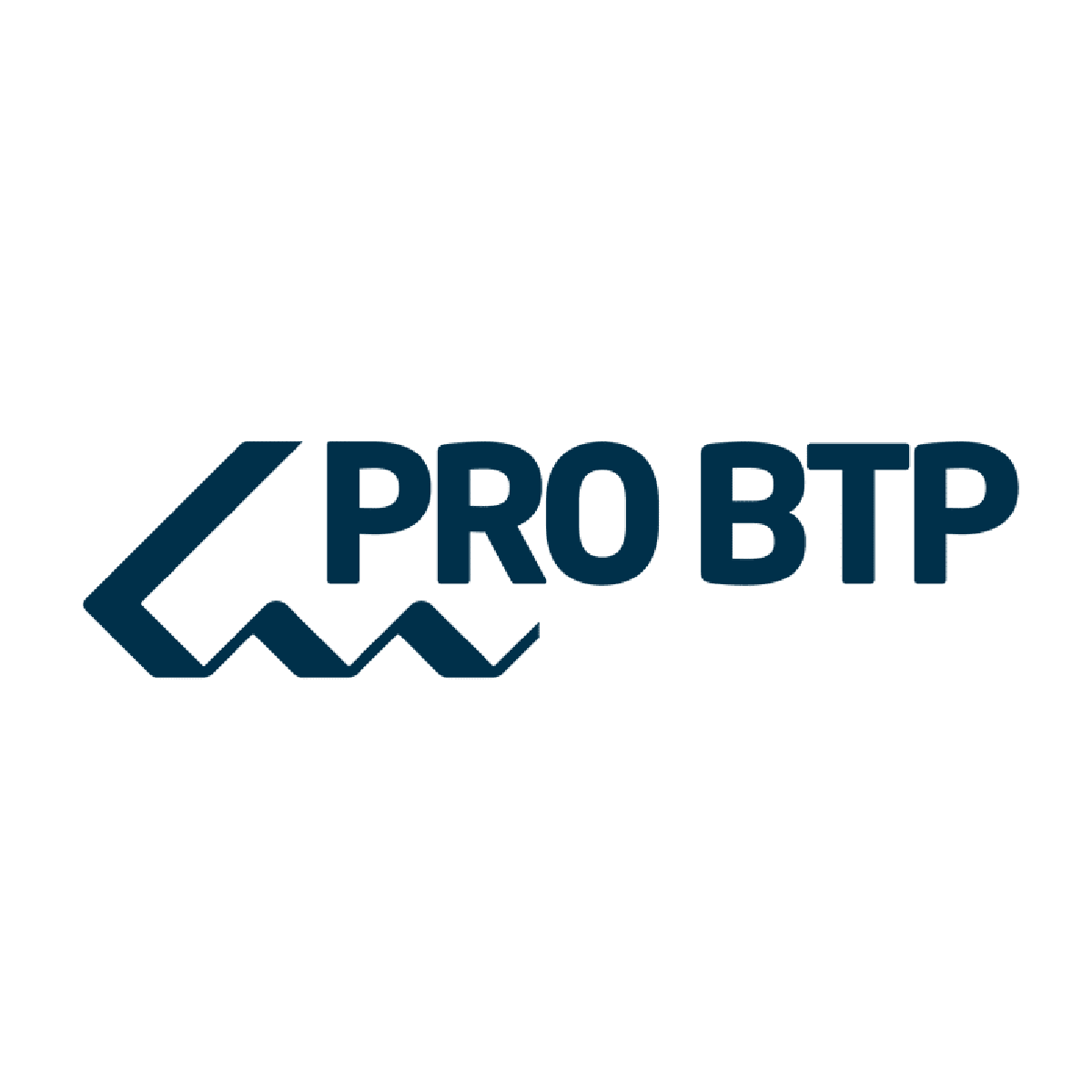 Logo Pro BTP